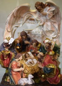 Thanksgiving Arizona, birthday, Sherman, Zoo, Baby Sower 476